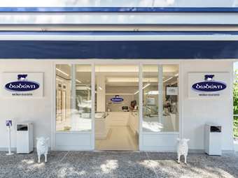 Παγωτά Δωδώνη: Από το γαλακτοπωλείο της Κυψέλης, στη χρεοκοπία και τη διάσωση από τη Βενέτης