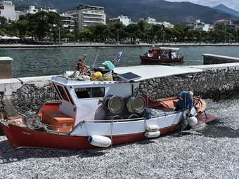 Πόλεμος ευθυνών για τα νεκρά ψάρια στο Βόλο – Παρέμβαση της εισαγγελέως του Αρείου Πάγου