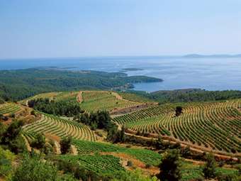 Χειρότερη τουριστική σεζόν αναμένουν για φέτος οι μισοί επιχειρηματίες στη Χαλκιδική