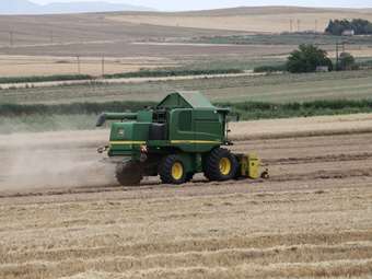 Νέα μείωση 5,5% των τιμών εκροών σε γεωργία – κτηνοτροφία τον Οκτώβριο