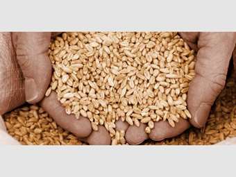 Μύλοι Κεπενού: Εγκρίθηκε από την Επιτροπή Κεφαλαιαγοράς το squeeze out της ΓΙ.ΕΛ.ΔΗ Συμμετοχών