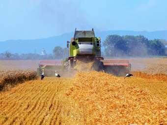 ΕΕ: "Λιγότερη γραφειοκρατία" για τους αγρότες