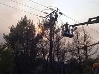 Το δίκτυο ηλεκτρισμού ευθύνεται μόλις για το 0,027% των πυρκαγιών - Αποκαλυπτικά τα επίσημα στοιχεία