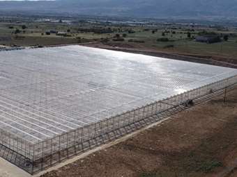 Wonderplant: Στα χνάρια της Ολλανδίας το υπερσύγχρονο θερμοκήπιο semi-closed των 50 εκατομμυρίων ευρώ