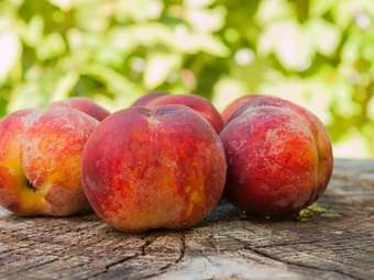 Η Ελλάδα στην κορυφή της παγκόσμιας αγοράς κομπόστας ροδάκινου