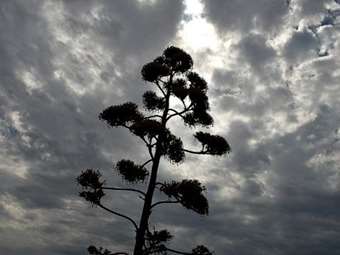 Βελτιωμένος ο καιρός ανήμερα Χριστούγεννα: Οι περιοχές που θα βρέξει - Ερχεται ψυχρή εισβολή από την Παρασκευή