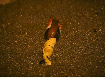 Επίθεση με μολότοφ εναντίον αστυνομικών στα Εξάρχεια - Έγιναν δύο συλλήψεις