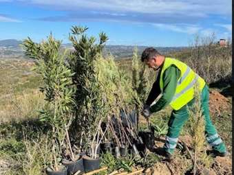 Αττική Οδός: Αναδασώνει καμμένες περιοχές στο Ντράφι Πεντέλης