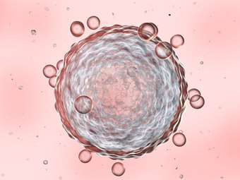 Γ. Καλογήρου: Να καλύπτεται από τα ταμεία η κρυοσυντήρηση ωαρίων