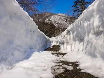 Αυστραλία: Οι μεγαλύτερες χιονοπτώσεις των τελευταίων ετών - Μισό μέτρο χιόνι στις πόλεις της ανατολικής χώρας