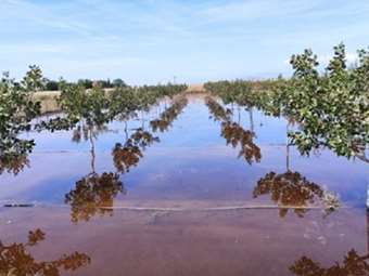Κρατική αρωγή για πλημμύρες Σεπτεμβρίου: 2.909 επιχειρήσεις και αγρότες έλαβαν την προκαταβολή του 50%