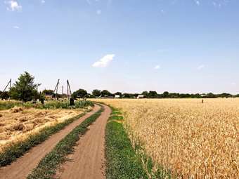Σε διαβουλεύσεις με 5 κράτη μέλη της για τις εισαγωγές αγροτικών προϊόντων από την Ουκρανία η ΕΕ