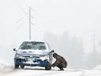 Διακοπή κυκλοφορίας στην λεωφόρο Φυλής λόγω χιονόπτωσης