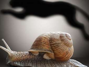 5 αυτοκίνητα με τη χειρότερη επιτάχυνση 0-100 km/h