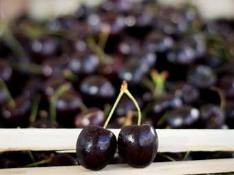 Λαμία: Στην αγορά τα πρώιμα κεράσια της Φθιώτιδας - Τσουχτερές οι τιμές για τους καταναλωτές