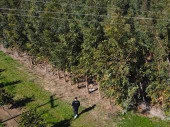 Η ProspecTree Επαναπροσδιορίζει την Πράσινη Ιδιοκτησία στην Ψηφιακή Εποχή