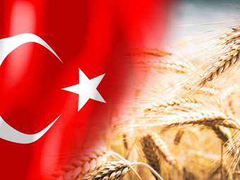 Από εισαγωγέας ρωσικών σιτηρών η Τουρκία γίνεται εξαγωγέας - Η αγορά γης στην Αφρική και το λαθρεμπόριο