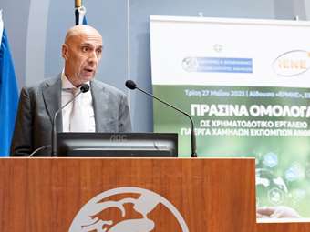 ΕΒΕΑ &amp; ΙΕΝΕ: Η πράσινη χρηματοδότηση αποτελεί στρατηγική επένδυση για την ελληνική οικονομία