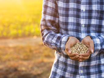 Το 6,5% του πληθυσμού της Ελλάδας αντιμετώπισε μέτρια ή σοβαρή ανεπάρκεια τροφής το 2023