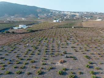 Η ΚΥΡ-ΓΙΑΝΝΗ εξαγοράζει το Κτήμα Σιγάλα