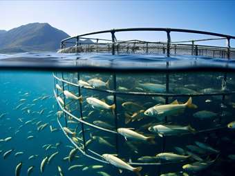 Avramar: Αντίστροφη μέτρηση για το deal με τις τράπεζες