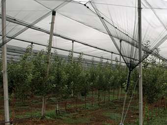 ΕΛΓΑ: Υπεγράφη η σύμβαση για την χαλαζική προστασία ύψους 3,7 εκατ. ευρώ