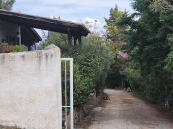 Πλειστηριασμοί: Ξανά στο "στόχαστρο" οι κατοικίες Τσαντίλη στην Αυλίδα και το νέο "κύμα" κατά της οικογένειας Πατρώνη