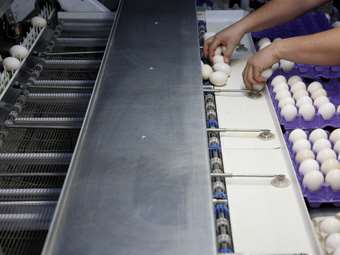 ΗΠΑ: Η χώρα όπου τα αυγά κοστίζουν… 15 δολάρια