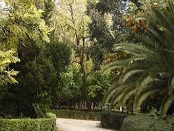 Δήμος Αθηναίων: Αυξημένα μέτρα ασφαλείας λόγω ισχυρών ανέμων - Κλειστός ο Εθνικός Κήπος