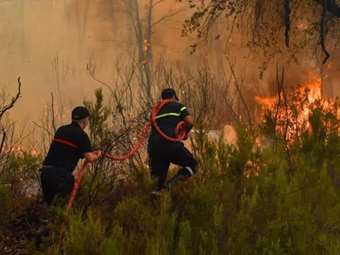 Μαρόκο: Οριοθετήθηκε η μεγάλη δασική πυρκαγιά στα βόρεια της χώρας