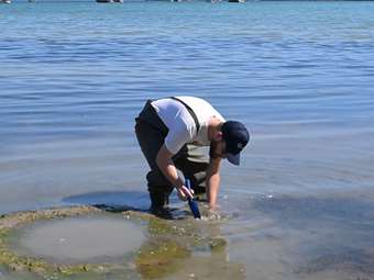 Ανάσα ζωής για τον Αμβρακικό: Συμμαχία επιστήμης, επιχειρηματικότητας και περιβαλλοντικής δράσης