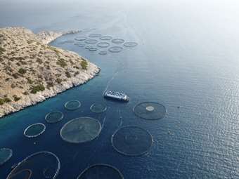 Πρωτοπόρος η Philosofish στη χρήση Ανανεώσιμων Πηγών Ενέργειας σε όλη τη Μεσόγειο