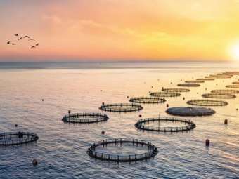 Avramar: Στόχος ένα "αδιάτρητο" σχέδιο εξυγίανσης – Ο κρίσιμος ο Νοέμβριος