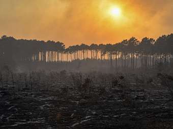 Γαλλία: Η πρώτη μεγάλη πυρκαγιά της χρονιάς ξέσπασε στα σύνορα με την Ισπανία