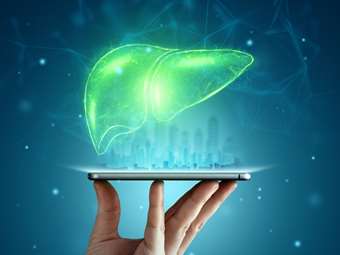 Τι να τρώμε για να μειώσουμε το λίπος στο συκώτι - Τι δείχνει νέα έρευνα