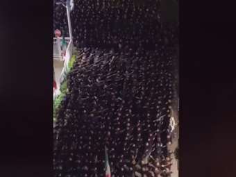 Φασιστικοί χαιρετισμοί, στην Ρώμη, σε "τελετή μνήμης" για την δολοφονία τριών ακροδεξιών νέων