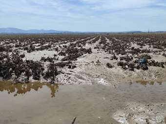 Στα 171 εκατ. ευρώ μέχρι σήμερα η πρώτη αρωγή για τις πλημμύρες του Σεπτεμβρίου 2023