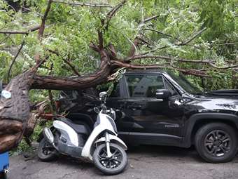Ένας τραυματίας από πτώση δέντρου στην οδό Ε. Μπενάκη, εξαιτίας της κακοκαιρίας