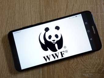 WWF για τα δύο νέα θαλάσσια πάρκα: Σημαντική πρωτοβουλία, εκκρεμεί συνέχεια για τις υπόλοιπες περιοχές