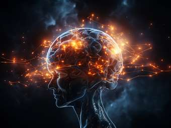 Ερευνητές του Χάρβαρντ και της Google δημιούργησαν τη μεγαλύτερη τρισδιάστατη ανακατασκευή τμήματος εγκεφάλου