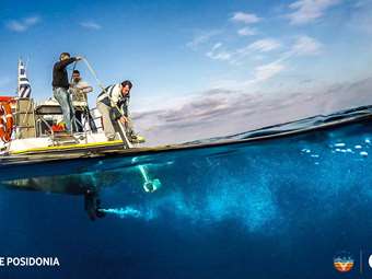 Τα λιβάδια της ελληνικής Ποσειδωνίας υπό την προστασία του Ιδρύματος Vodafone