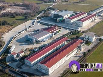 Ηπειρώτικα Αυγά: Νέα εταιρεία με αποκλειστική παραγωγή cage-free αυγών – Απορρόφηση της Ovo Fresco