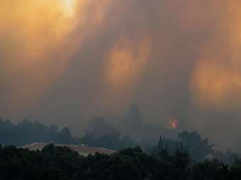 Χωρίς ενεργό μέτωπο η πυρκαγιά σε δασική έκταση στο ακρωτήριο Πράσο στη Σάμο