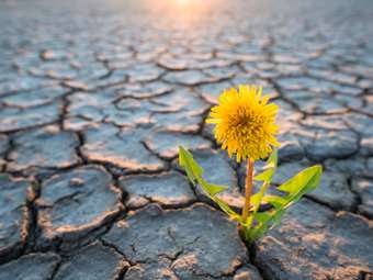 Κλίμα: Διχασμένες οι 27 χώρες μέλη της Ε.Ε. προσπαθούν να καταλήξουν σε έναν ελάχιστο συμβιβασμό ενόψει της COP30