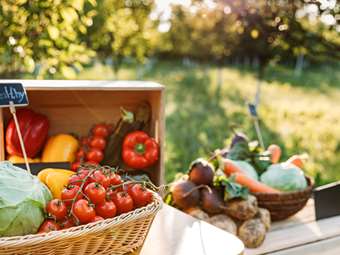 ΕΛΣΤΑΤ: Αύξηση 6,3% στις τιμές εκροών στη γεωργία - κτηνοτροφία τον Μάιο