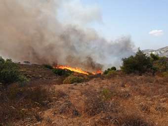Θεσσαλονίκη: Σε εξέλιξη πυρκαγιά σε δασική έκταση στο Εξαμίλι Λαγκαδά – Επιχειρούν επίγειες και εναέριες δυνάμεις