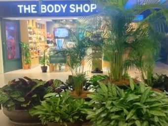 The Body Shop: Σε καθεστώς ειδικής διαχείρισης στη Μ. Βρετανία, σε κίνδυνο χιλιάδες θέσεις εργασίας