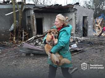 Ουκρανία: Ρωσικό drone έπληξε καταφύγιο ζώων, περίπου 10 είναι νεκρά