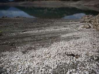 Ολιστικό σχέδιο και όχι πρόχειρες λύσεις ζητούν οι δήμαρχοι της Χαλκιδικής για τη λειψυδρία