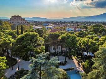 Μπλόκο του Δήμου Κηφισιάς στην "ελέω ΝΟΚ" σφαγή των δέντρων - 1043 δέντρα κόπηκαν από το 2022 μέχρι σήμερα για να γίνουν οικόπεδα